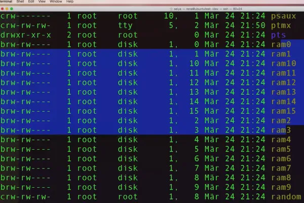 Linux untuk pemula - Mengenali tipe-tipe file 7.3