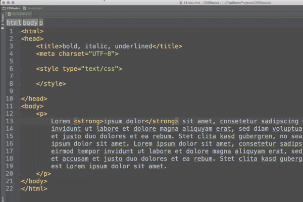 HTML, CSS and JavaScript basics - 37 Bold, italicized and underlined text