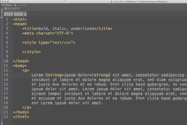 Základy HTML, CSS a JavaScript - 37 Tučný, kurzíva a podtržený text