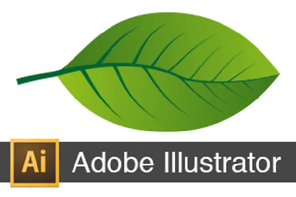 Laubblatt erstellen - Adobe Illustrator