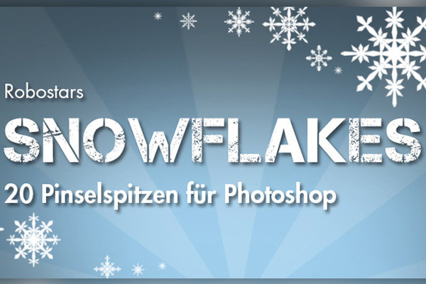Snöflinga-Pensel 1
