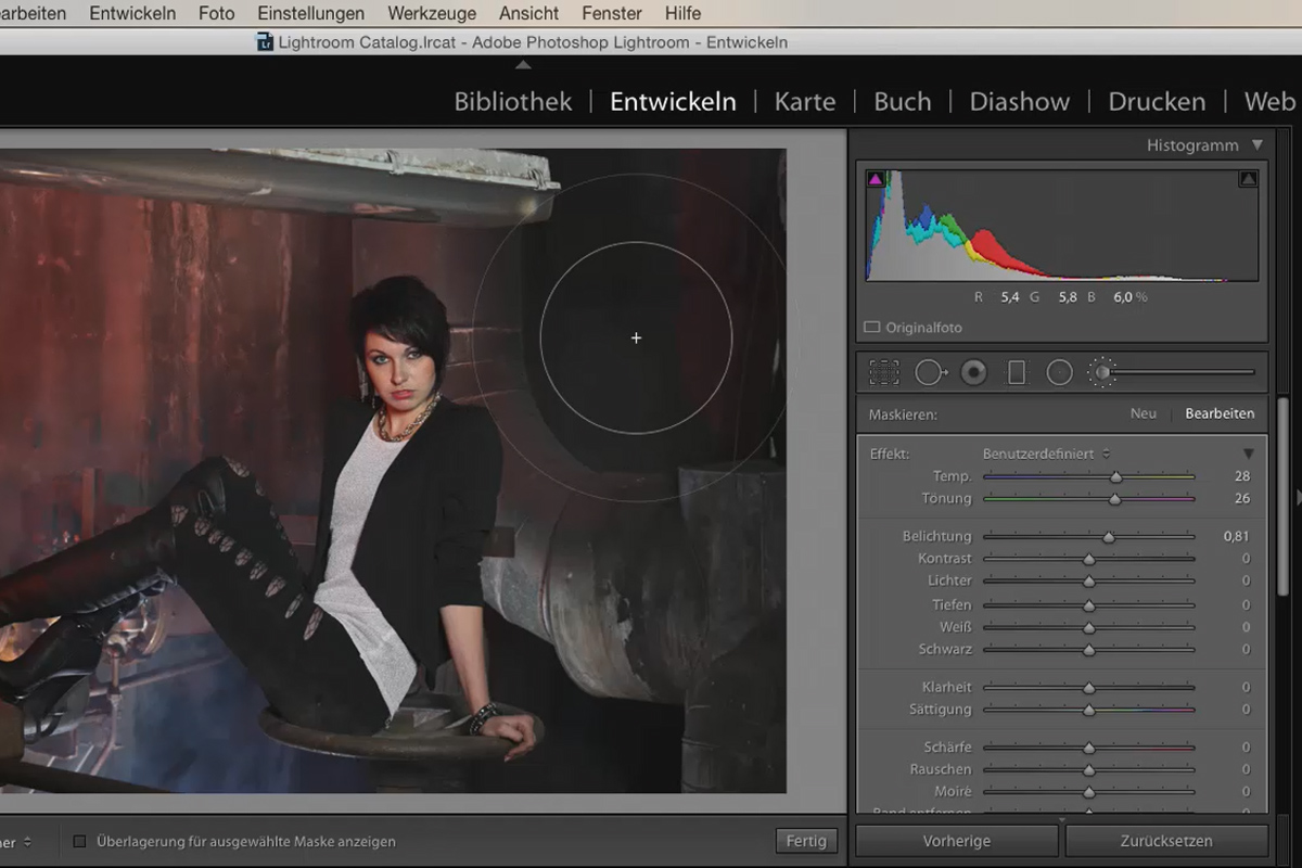 Lightroom para principiantes y expertos: 06 - Herramientas de retoque - 6.6 - Pinceles correctores