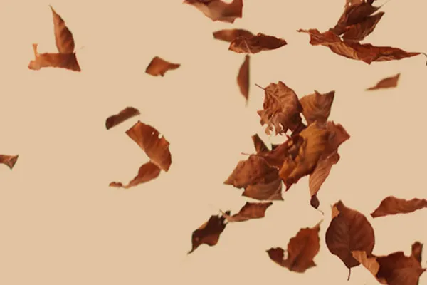 High-resolution images, textures & overlays: falling fall leaves 1