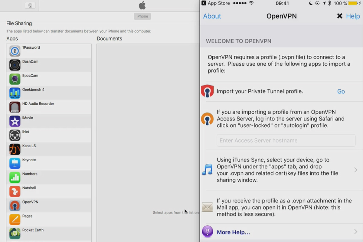 OpenVPN verstehen und einrichten – sicher im Netzwerk: 6.5 iOS verbinden auf unseren OpenVPN-Server
