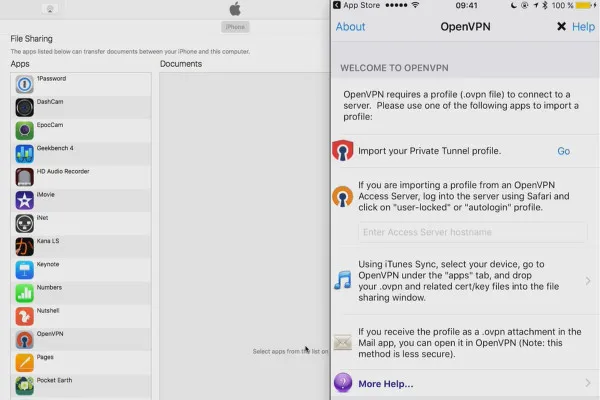 OpenVPN anlamak ve kurmak - ağda güvenli: 6.5 iOS OpenVPN sunucumuzla bağlantı kurmak