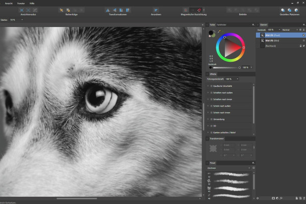 Affinity Designer Tutorial - Basics: 6.5 | Blur Tool