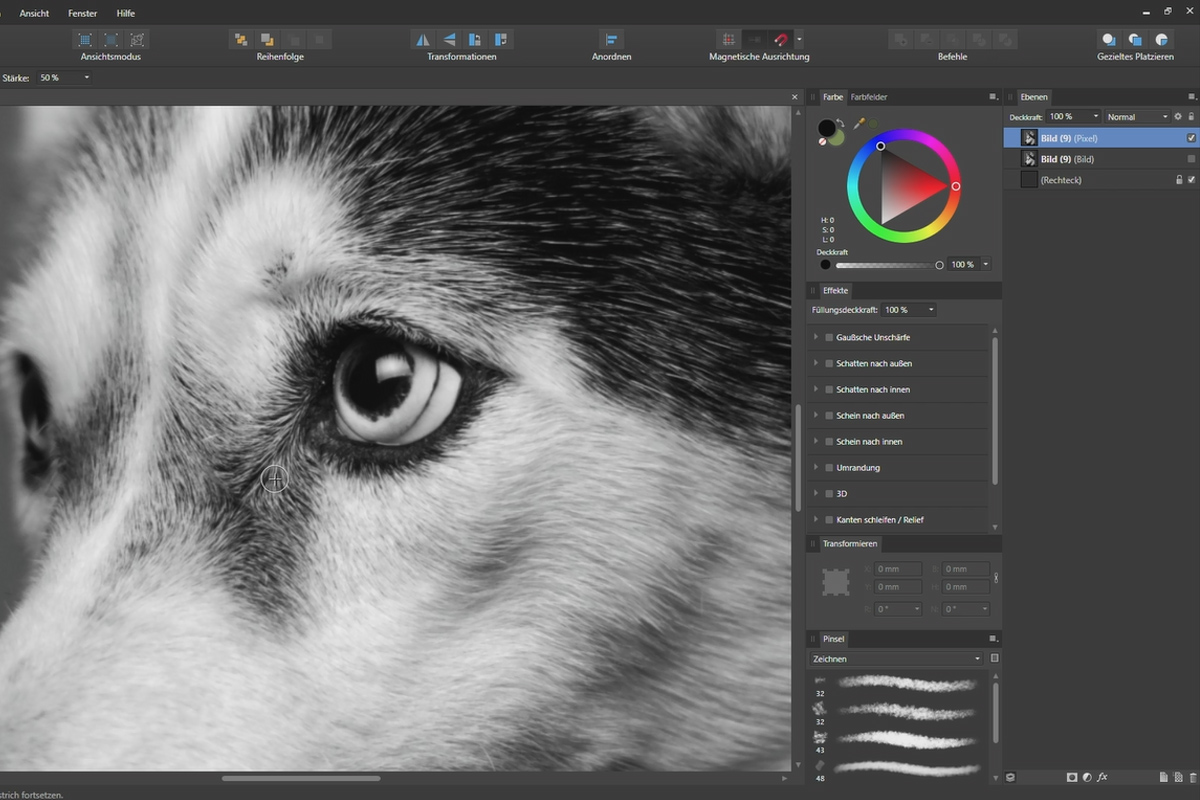 Affinity Designer-tutorial - Grunnleggende: 6.5 | Viskelær-verktøy