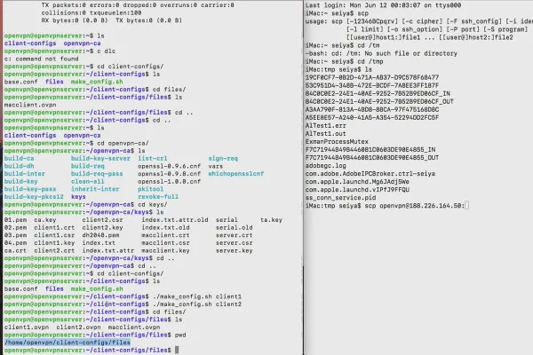 OpenVPN verstehen und einrichten – sicher im Netzwerk: 6.7 OVPN-Datei übertragen: Linux und macOS-Terminal