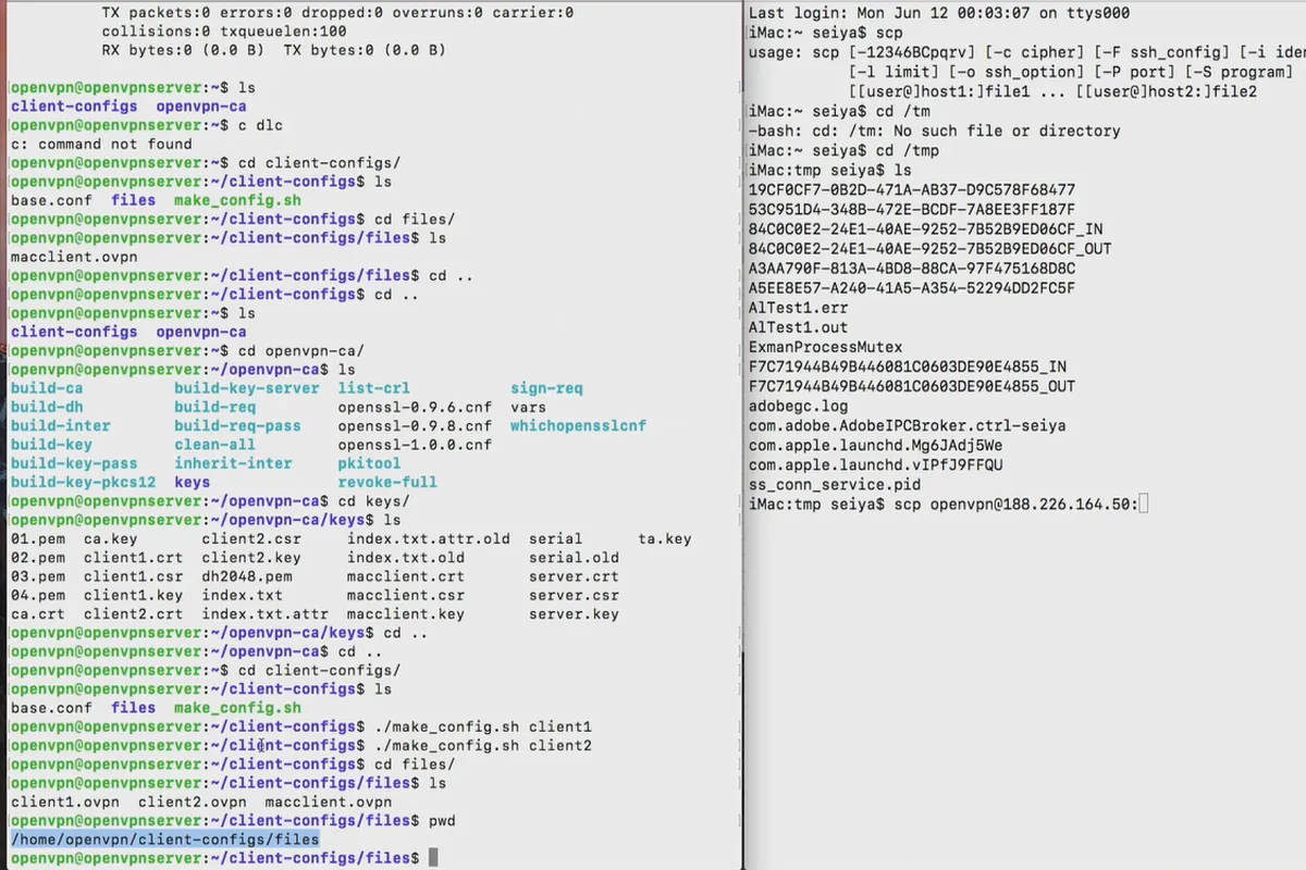 OpenVPN verstehen und einrichten – sicher im Netzwerk: 6.7 OVPN-Datei übertragen: Linux und macOS-Terminal