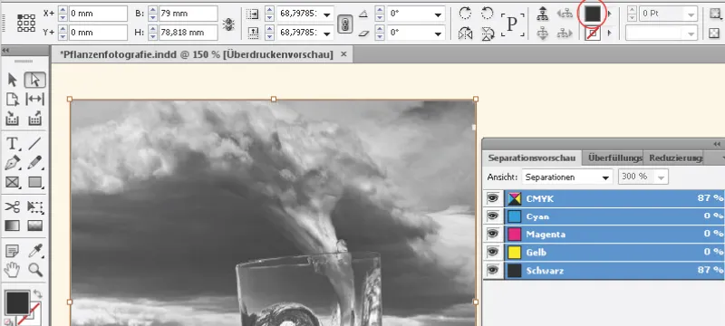 Paveikslėlių talpinimas, pritaikymas ir spalvinimas programoje "InDesign