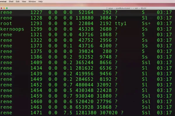 Menampilkan dan menghentikan instance dan proses pada Linux untuk pemula - 9.2