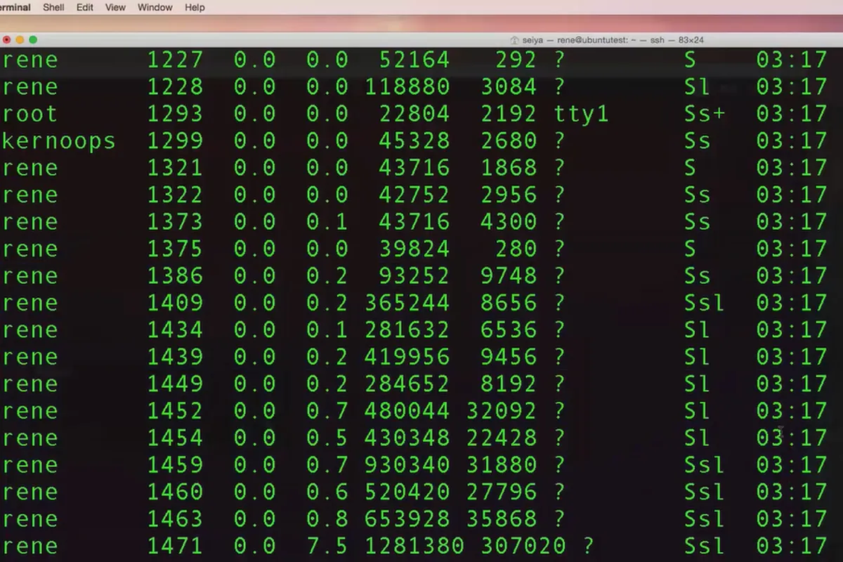 Menampilkan dan menghentikan instance dan proses pada Linux untuk pemula - 9.2