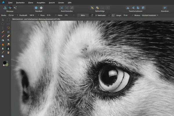 Affinity Designer -opetusohjelma - Perusteet: 6.6 | Summennus ja terävöitys -työkalut