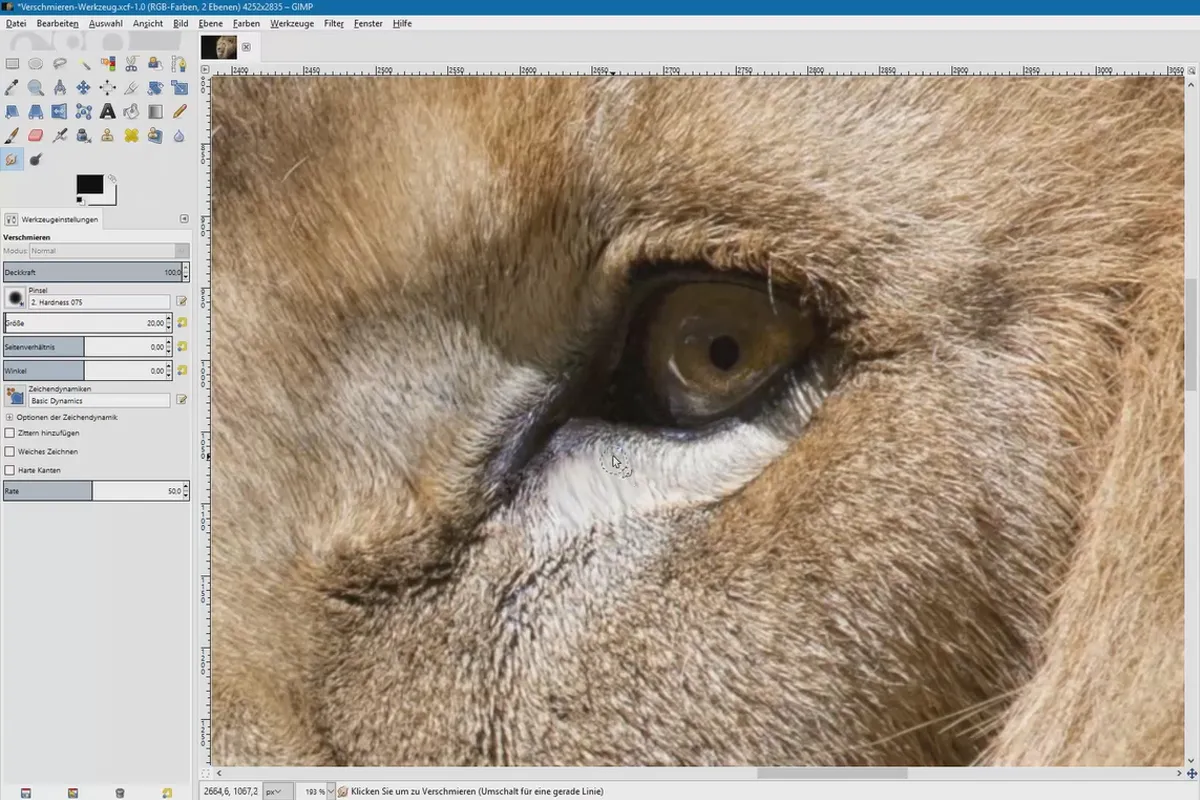 Elaborazione dell'immagine con GIMP: il tutorial per principianti - 42 strumento di sfocatura