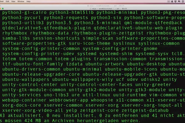 Linux für Einsteiger – 9.3 Software installieren mit Paketmanager APT