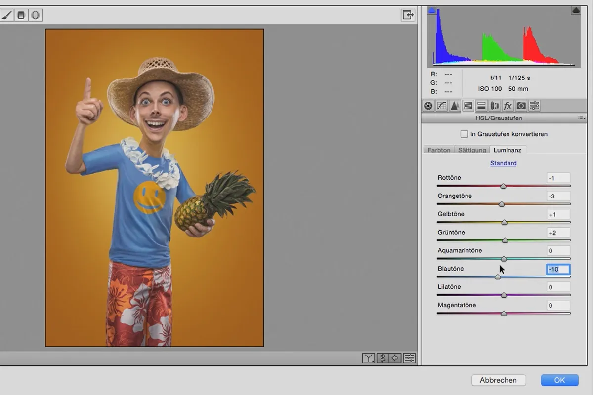Comic Style: The Cartoon Training for Photoshop - 6.6 Camera Raw Filters