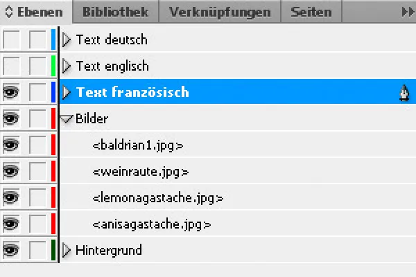 "InDesign" sluoksnio funkcija