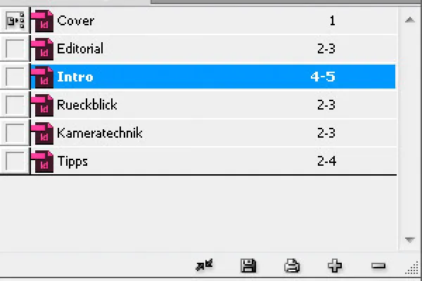 Knygos funkcija programoje "InDesign