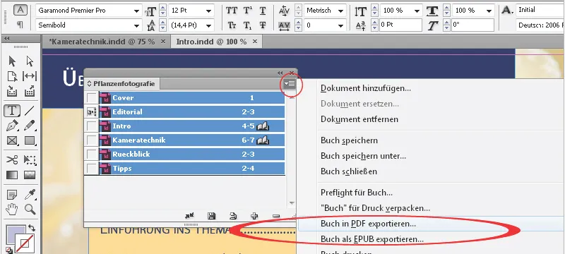 Knygos funkcija programoje "InDesign
