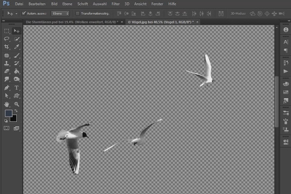 Photoshop-Composing - Die Sturmtänzer - Teil 14: Vögel freistellen, auf dem Composing platzieren und anpassen