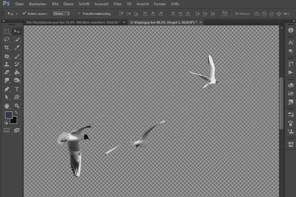 Photoshop-Composing - Die Sturmtänzer - Teil 14: Vögel freistellen, auf dem Composing platzieren und anpassen