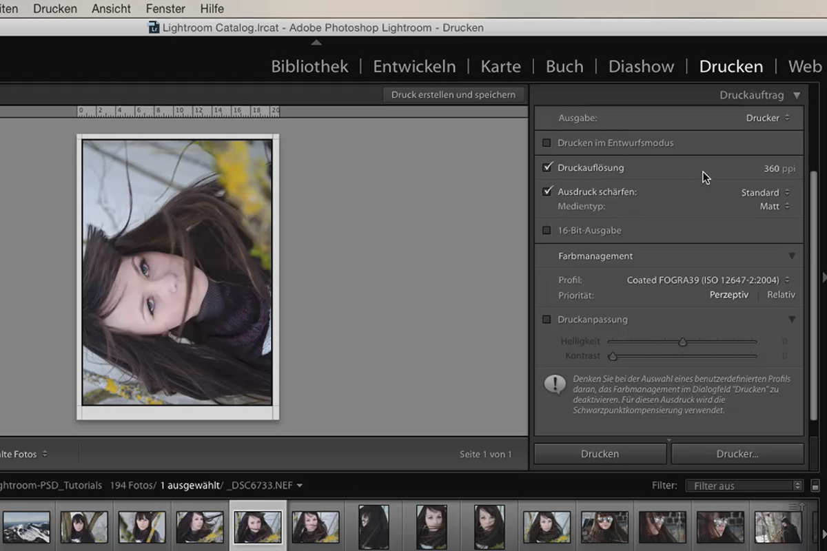 Lightroom para principiantes e intermedios: 09 - Imprimir - 9.3 - Imprimir imágenes