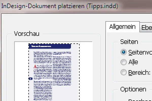Failų talpinimas programoje "InDesign