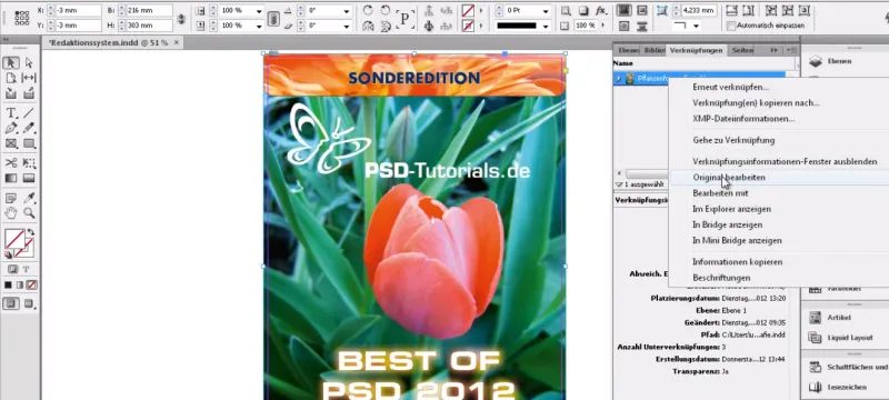 Failų talpinimas programoje "InDesign