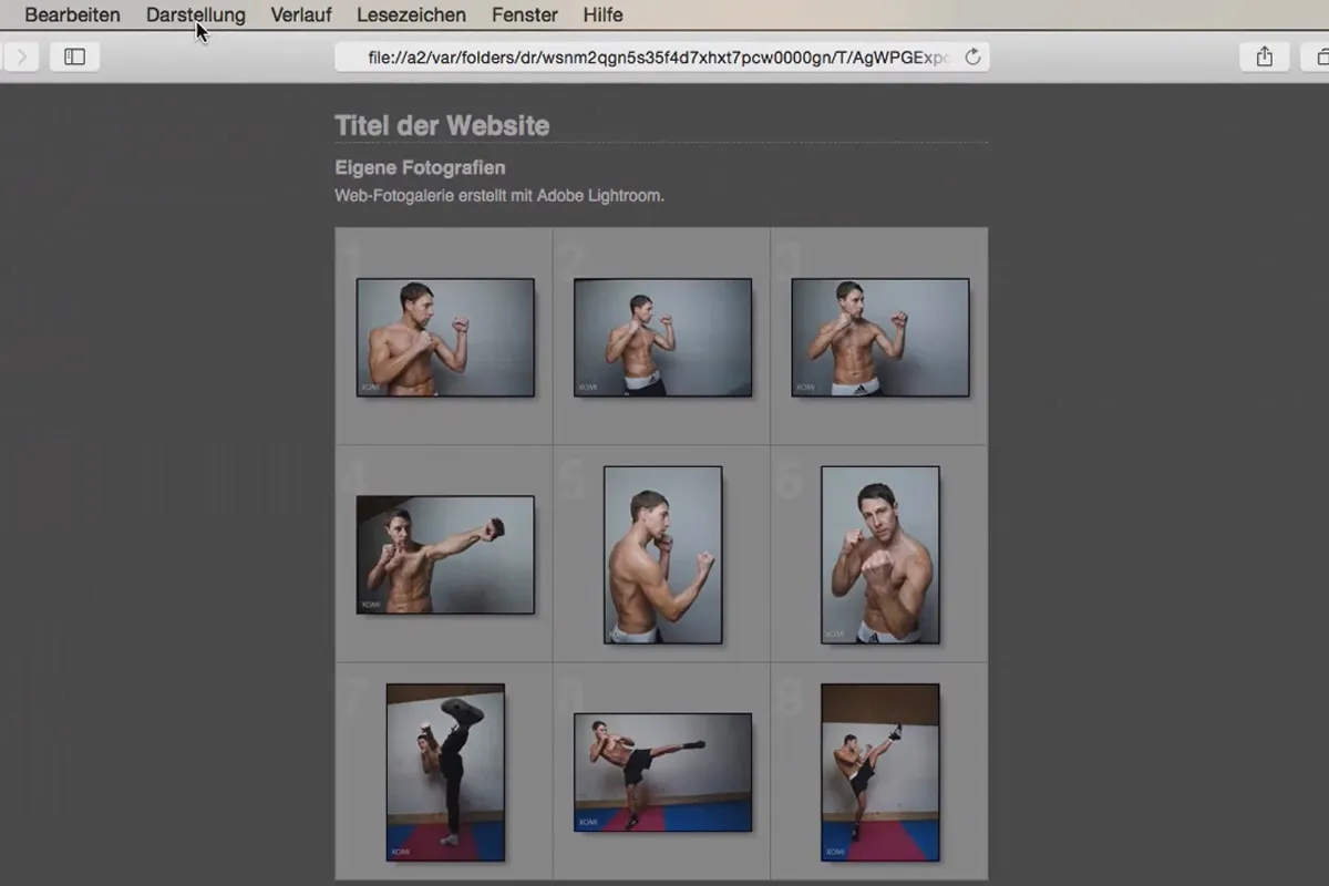 Lightroom für Einsteiger und Aufsteiger: 10 - Web - 10.1 - Webgalerie erstellen