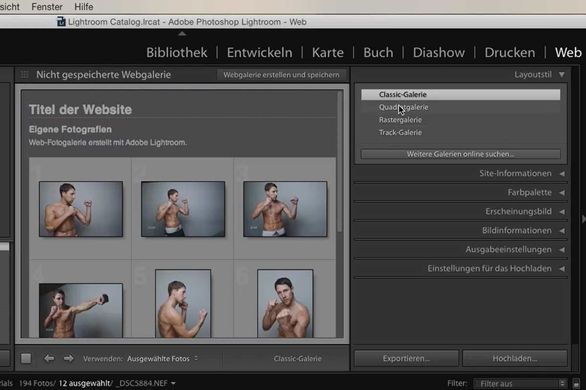 Lightroom para principiantes y expertos: 10 - Web - 10.3 - Ajustes de la galería