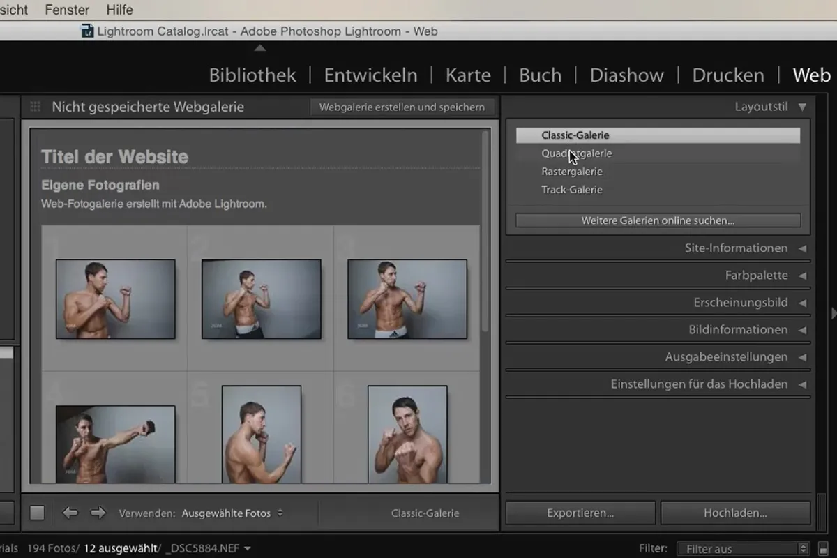 Lightroom für Einsteiger und Aufsteiger: 10 - Web - 10.3 - Galerie-Einstellungen