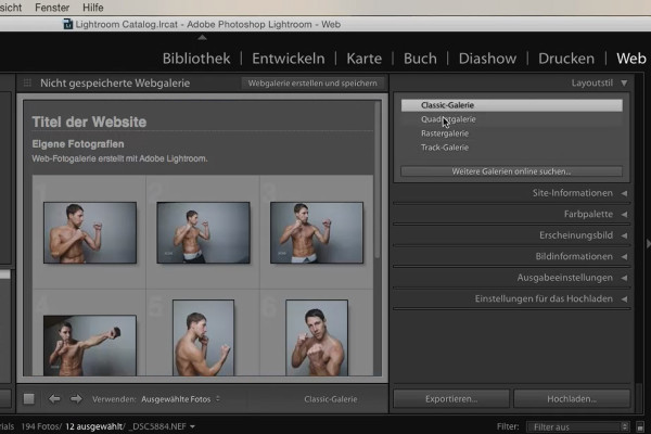 Lightroom pour débutants et amateurs avancés : 10 - Web - 10.3 - Paramètres de la galerie