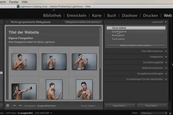 Lightroom für Einsteiger und Aufsteiger: 10 - Web - 10.3 - Galerie-Einstellungen