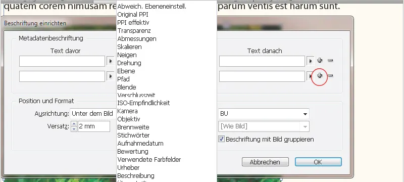 Antraštės programoje "InDesign