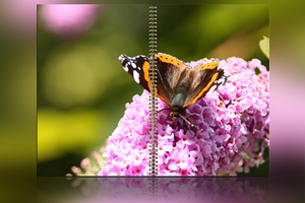 Photoshop-handling: spiralbindning