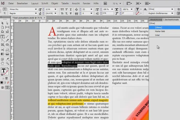 Paprastai pažymėkite tekstą „anmarkern“ InDesign programa