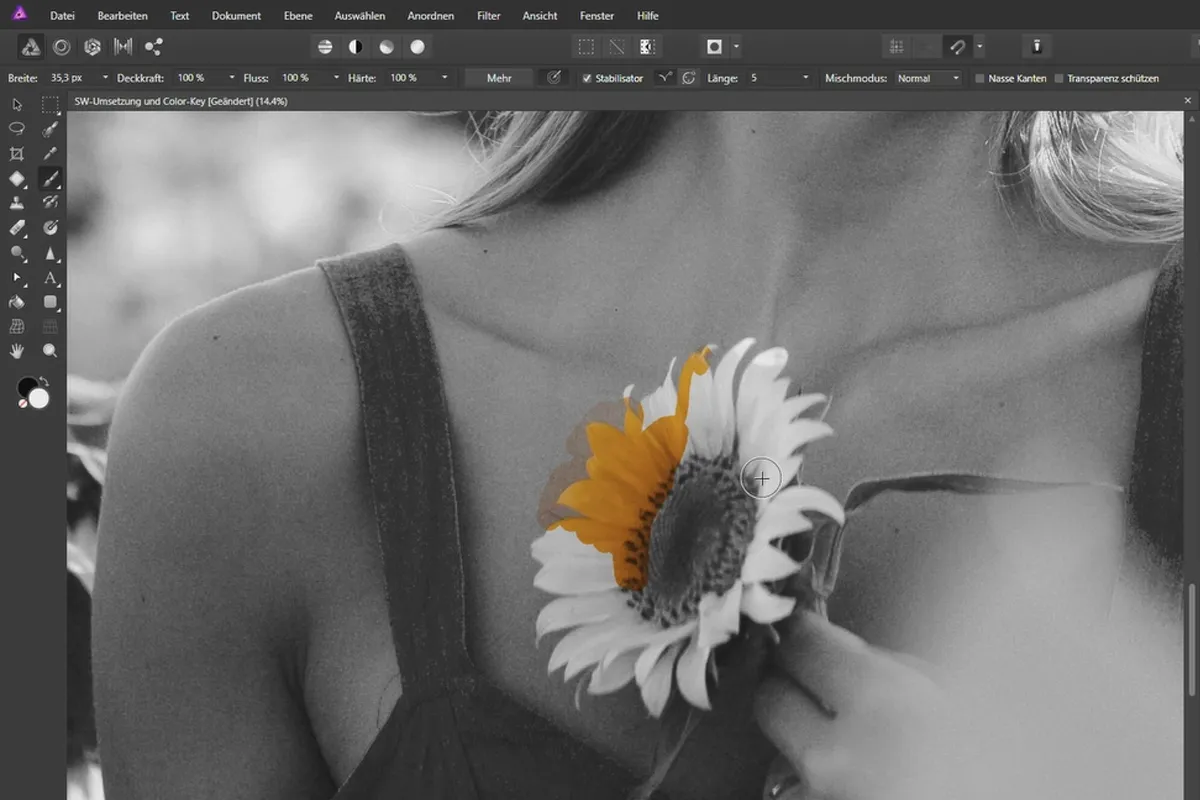 Affinity Photo-Tutorial – Grundlagen: 5.3 | SW-Umwandlung und Color-Key