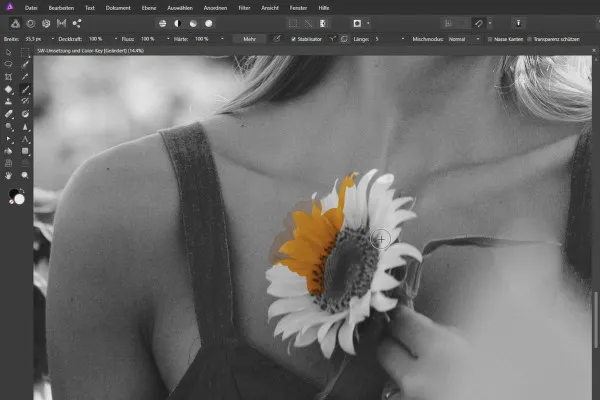 Affinity Photo-Tutorial – Grundlagen: 5.3 | SW-Umwandlung und Color-Key