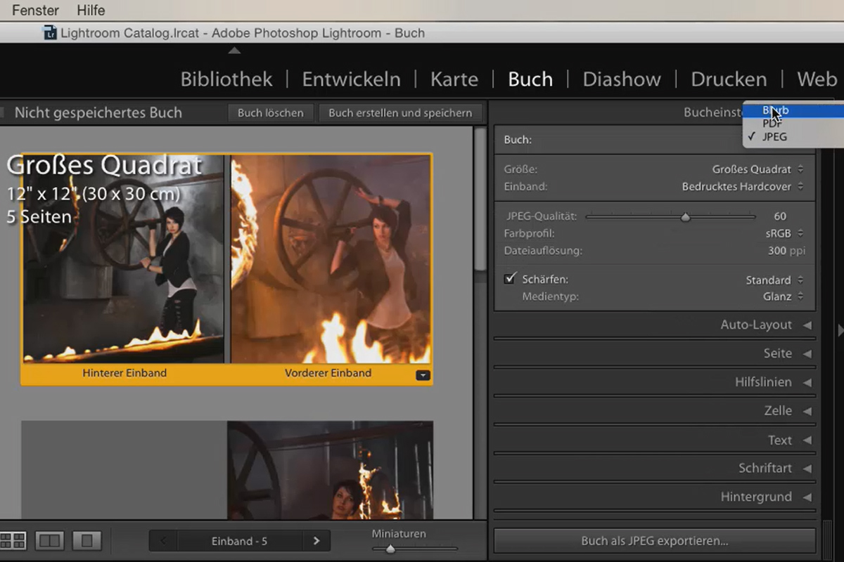 Lightroom para principiantes y expertos: 11 - Libro - 11.3 - Publicar y encargar