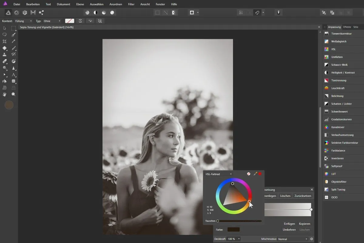 Affinity Photo-Tutorial – Grundlagen: 5.4 | Sepia-Tonung mit Vignette