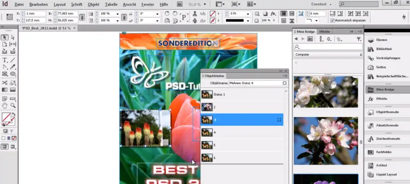 Galerijos "InDesign" dokumentuose