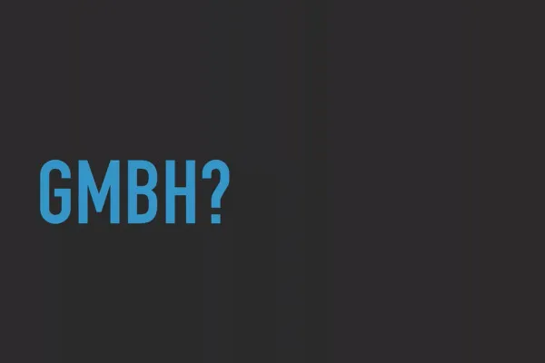창업: 프리랜서로 성공적인 출발 : 5.5 그런데 유한회사는?