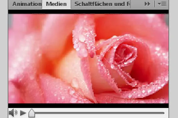 Vaizdo įrašų įterpimas programoje "InDesign