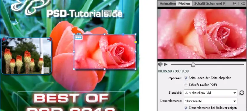 Vaizdo įrašų įterpimas programoje "InDesign