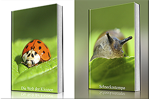 Stående bok