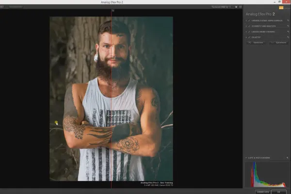 Nik Collection - Utseende, stiler og effekter med Analog Efex Pro 2: oversikt