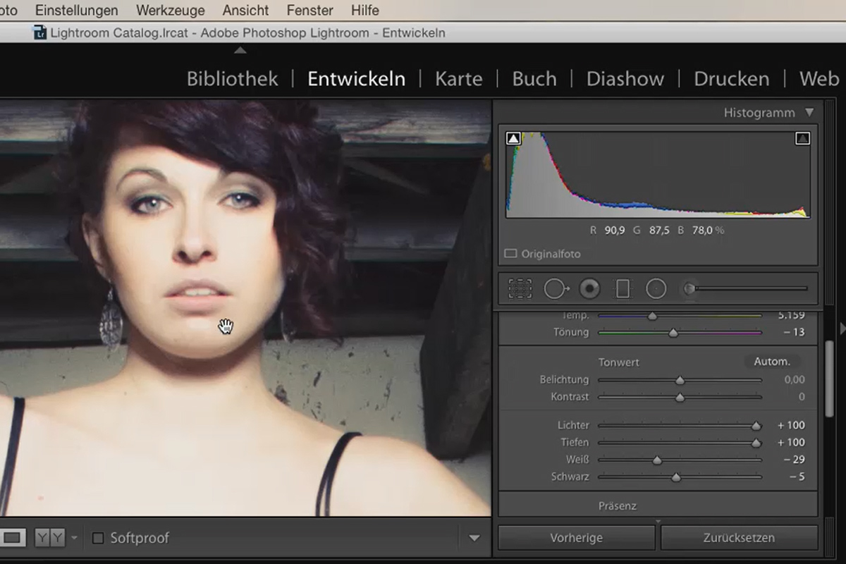 Lightroom para principiantes y niveles intermedios: 13 - Práctica - 13.1 - Desarrollo de series
