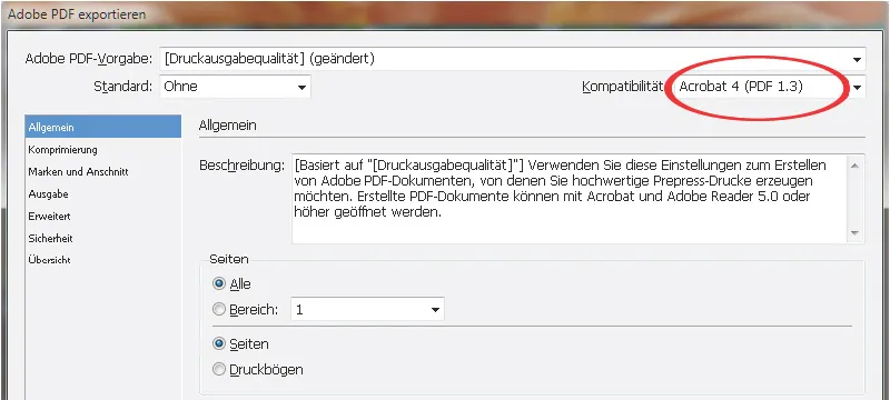 PDF eksportas į "InDesign