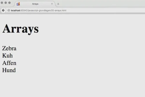 Základy JavaScriptu – využití 20 polí