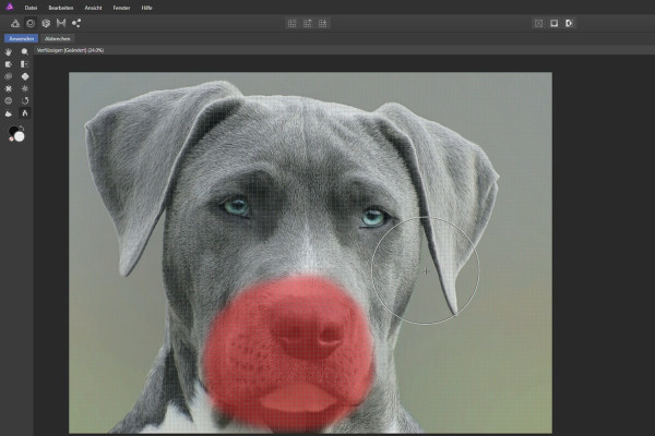 Affinity Photo veiledning - Grunnleggende: 5.10 | Fordreie